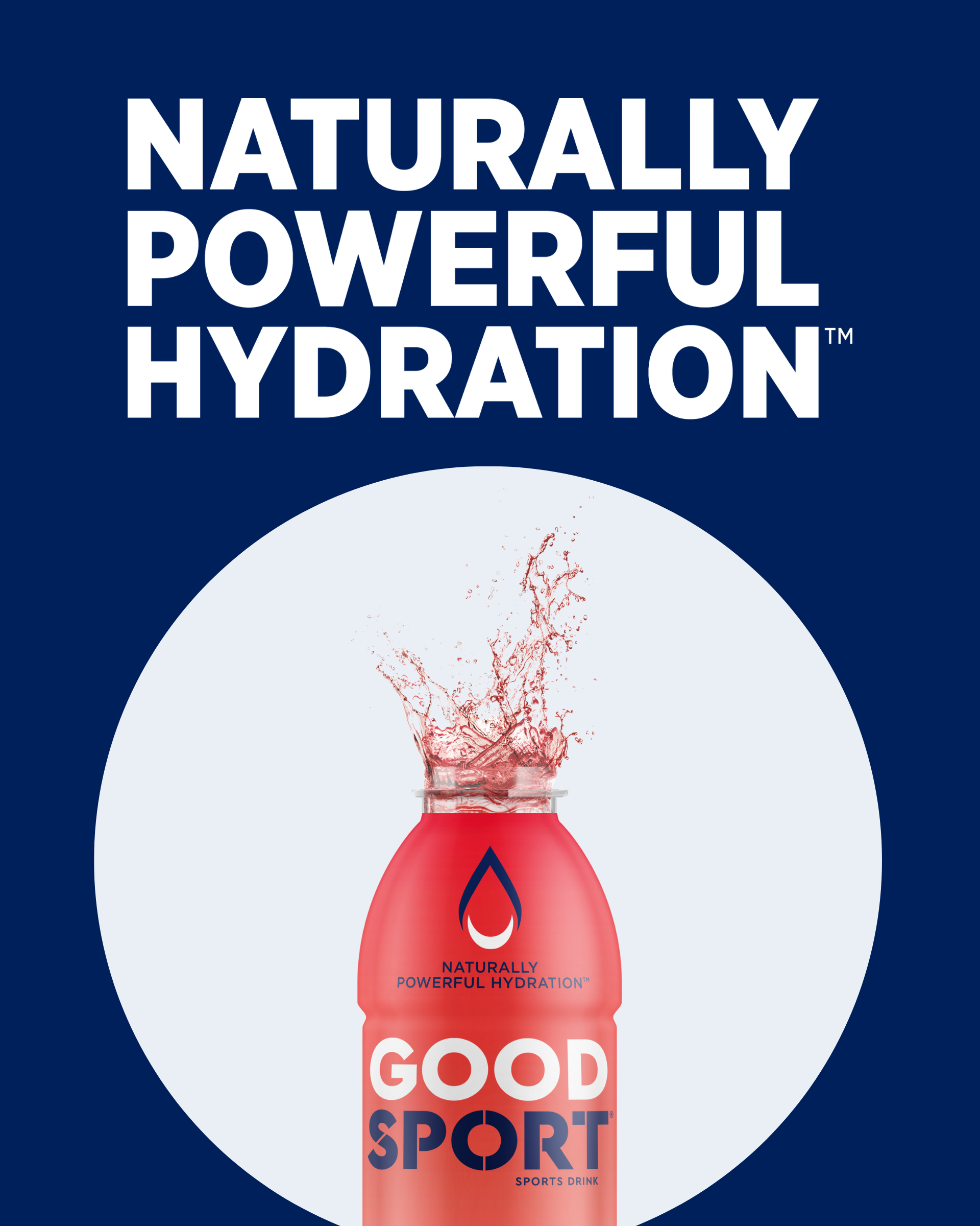 Goodsport Electrolytes bevanda sportiva fruit punch 12 pezzi