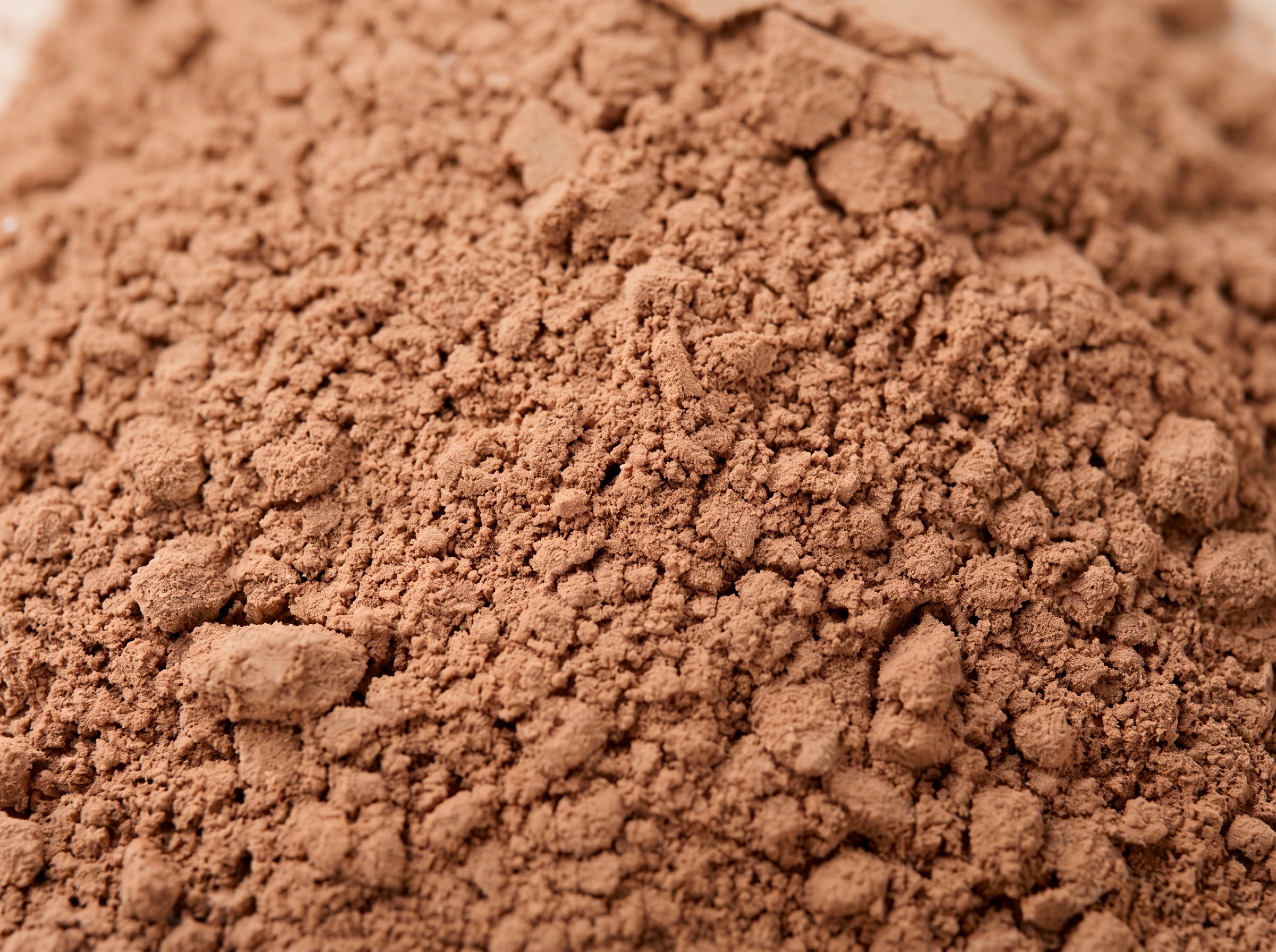 Pulse Protein Protein Powder Proteine Cioccolato 750g Vegane