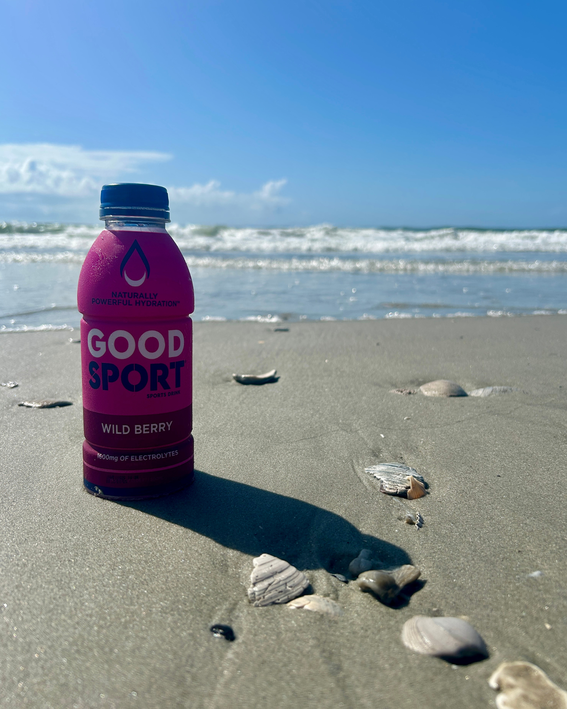 GoodSport Wild Berry Bevanda Sportiva 12 Pezzi Elettroliti